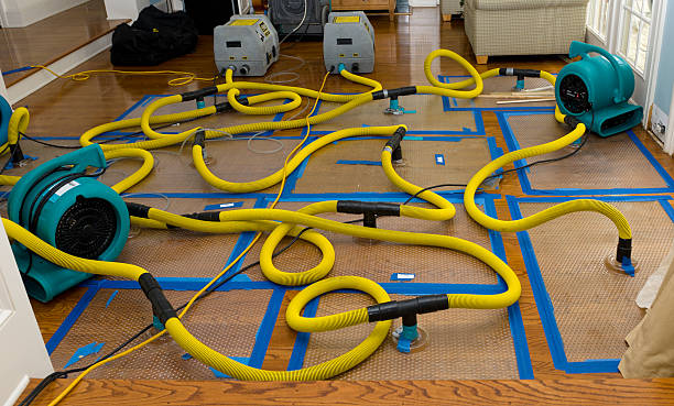 Professional Basement Flood Cleanup technician working in Silverstreet, SC