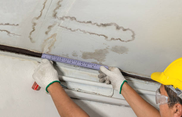 Affordable Basement Flood Cleanup solutions in Silverstreet, SC